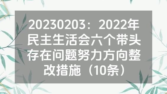 20230203：2022年民主生活会六个带头存在问题努力方向整改措施（10条）