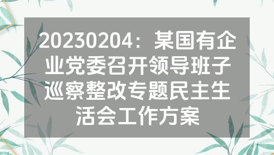 20230204：某国有企业党委召开领导班子巡察整改专题民主生活会工作方案