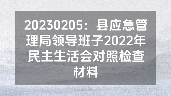 20230205：县应急管理局领导班子2022年民主生活会对照检查材料