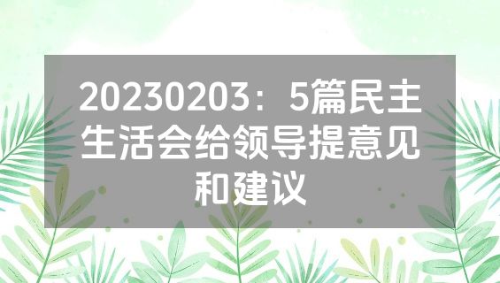 20230203：5篇民主生活会给领导提意见和建议