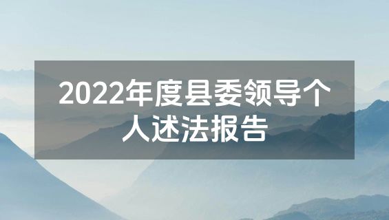 2022年度县委领导个人述法报告