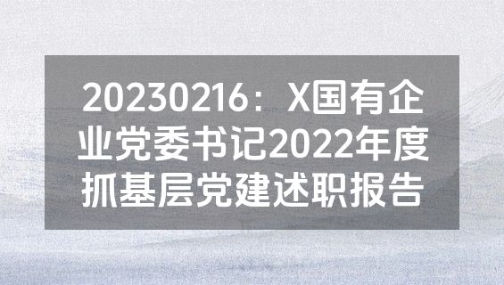20230216：X国有企业党委书记2022年度抓基层党建述职报告