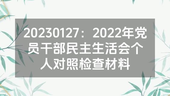 20230127：2022年党员干部民主生活会个人对照检查材料
