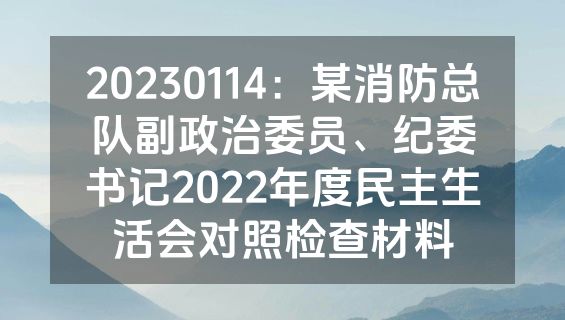 20230114：某消防总队副政治委员、纪委书记2022年度民主生活会对照检查材料