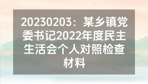 20230203：某乡镇党委书记2022年度民主生活会个人对照检查材料