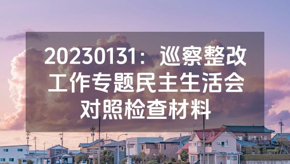 20230131：巡察整改工作专题民主生活会对照检查材料