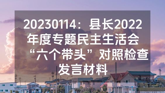 20230114：县长2022年度专题民主生活会“六个带头”对照检查发言材料