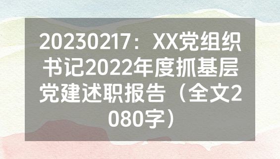 20230217：XX党组织书记2022年度抓基层党建述职报告（全文2080字）