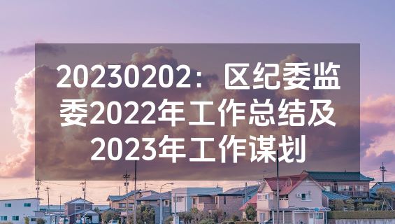 20230202：区纪委监委2022年工作总结及2023年工作谋划