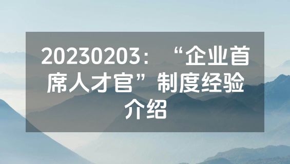20230203：“企业首席人才官”制度经验介绍