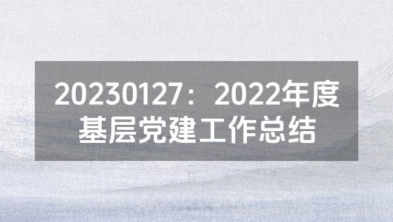 20230127：2022年度基层党建工作总结