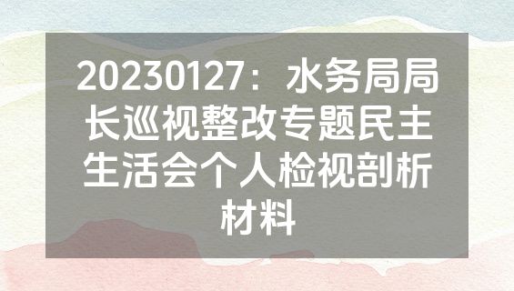 20230127：水务局局长巡视整改专题民主生活会个人检视剖析材料