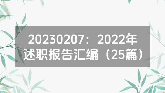 20230207：2022年述职报告汇编（25篇）