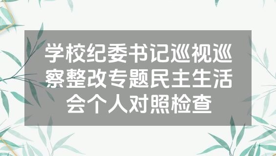学校纪委书记巡视巡察整改专题民主生活会个人对照检查