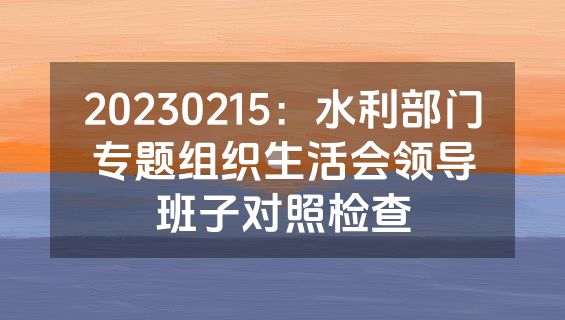 20230215：水利部门专题组织生活会领导班子对照检查