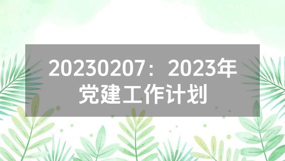 20230207：2023年党建工作计划
