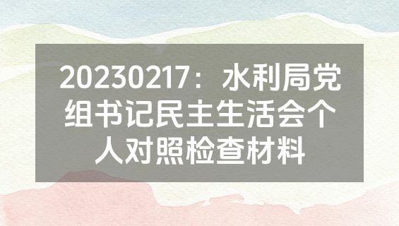20230217：水利局党组书记民主生活会个人对照检查材料
