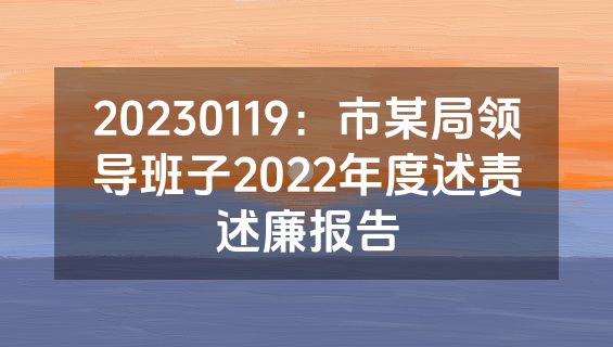 20230119：市某局领导班子2022年度述责述廉报告