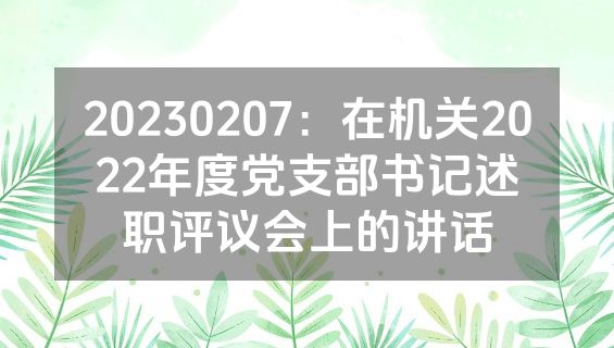 20230207：在机关2022年度党支部书记述职评议会上的讲话
