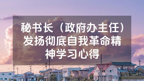 秘书长（政府办主任）发扬彻底自我革命精神学习心得
