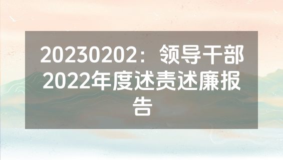20230202：领导干部2022年度述责述廉报告