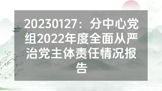 20230127：分中心党组2022年度全面从严治党主体责任情况报告