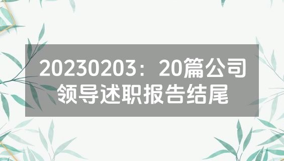 20230203：20篇公司领导述职报告结尾