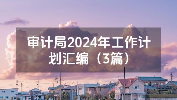 审计局2024年工作计划汇编（3篇）