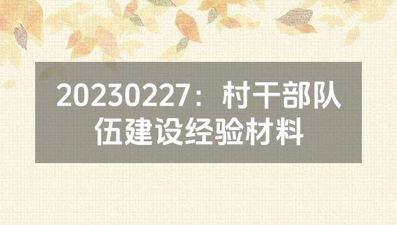 20230227：村干部队伍建设经验材料