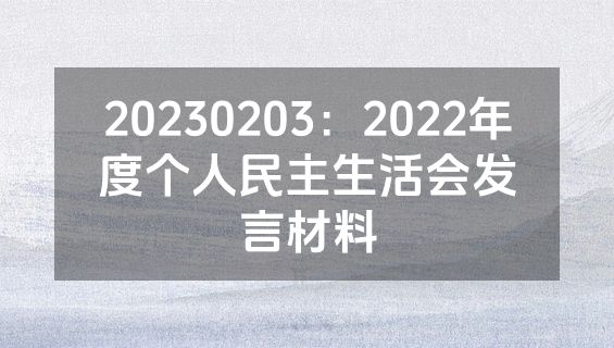 20230203：2022年度个人民主生活会发言材料
