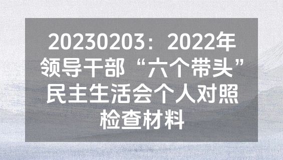 20230203：2022年领导干部“六个带头”民主生活会个人对照检查材料