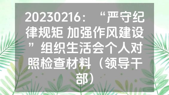 20230216：“严守纪律规矩 加强作风建设”组织生活会个人对照检查材料（领导干部）