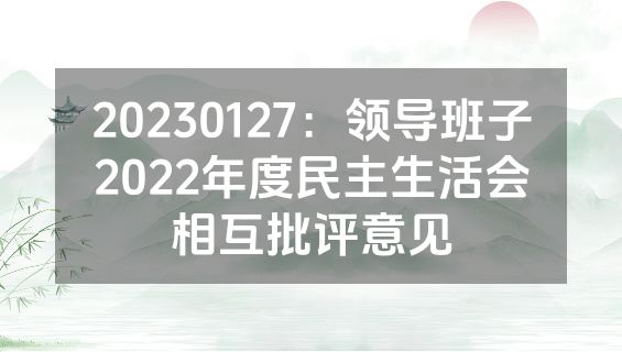 20230127：领导班子2022年度民主生活会相互批评意见
