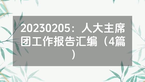 20230205：人大主席团工作报告汇编（4篇）