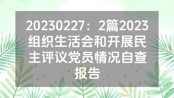 20230227：2篇2023组织生活会和开展民主评议党员情况自查报告