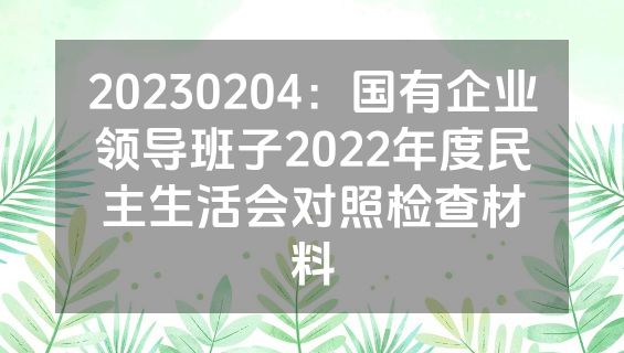 20230204：国有企业领导班子2022年度民主生活会对照检查材料