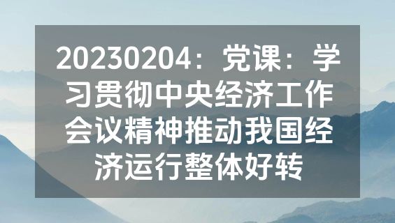 20230204：党课：学习贯彻中央经济工作会议精神推动我国经济运行整体好转