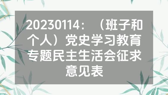 20230114：（班子和个人）党史学习教育专题民主生活会征求意见表