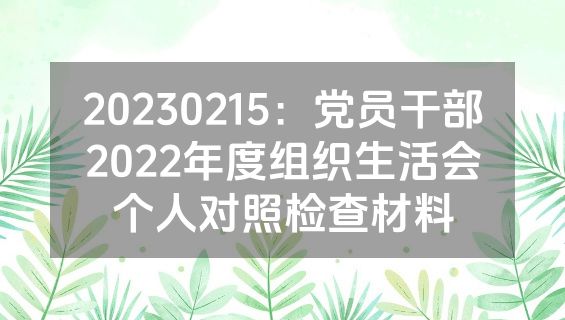 20230215：党员干部2022年度组织生活会个人对照检查材料