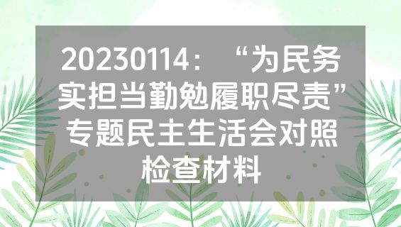 20230114：“为民务实担当勤勉履职尽责”专题民主生活会对照检查材料