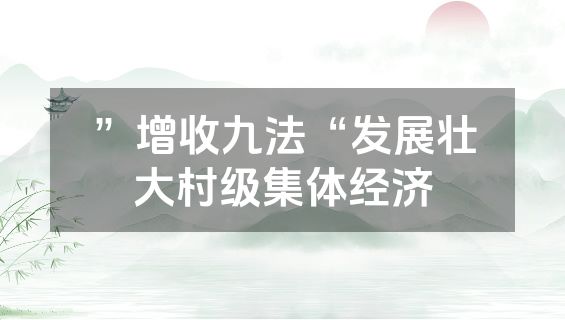 ”增收九法“发展壮大村级集体经济