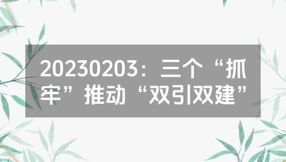 20230203：三个“抓牢”推动“双引双建”