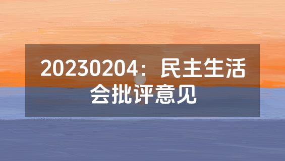20230204：民主生活会批评意见