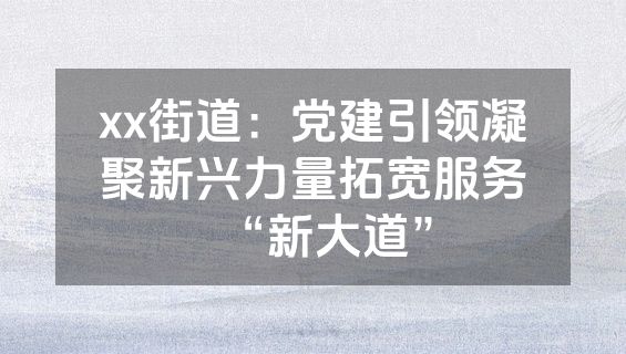 xx街道：党建引领凝聚新兴力量拓宽服务“新大道”