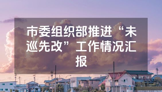 市委组织部推进“未巡先改”工作情况汇报