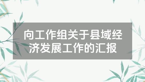 向工作组关于县域经济发展工作的汇报