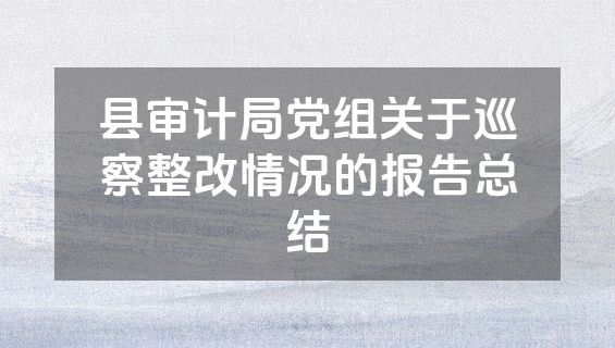 县审计局党组关于巡察整改情况的报告总结