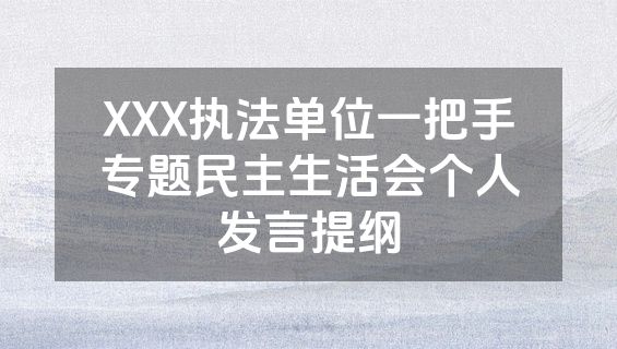 XXX执法单位一把手专题民主生活会个人发言提纲