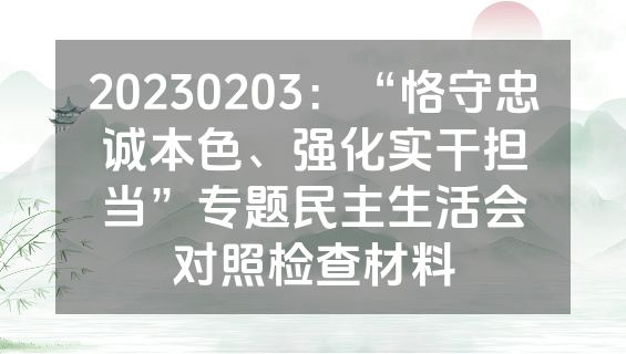 20230203：“恪守忠诚本色、强化实干担当”专题民主生活会对照检查材料
