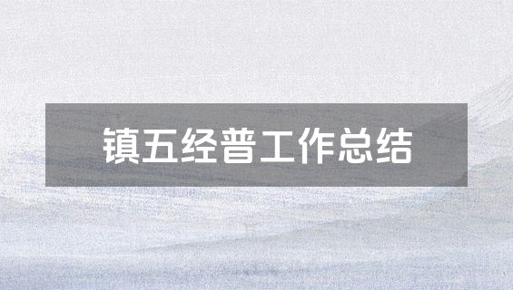 镇五经普工作总结
